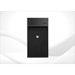 WRT-P-3100W